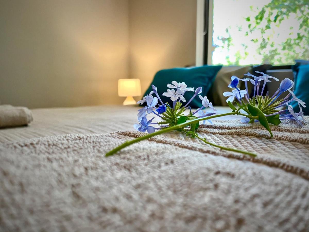 Jackals Dream - Self Catering Villa Bordering Kruger National Park Marloth Park Bagian luar foto