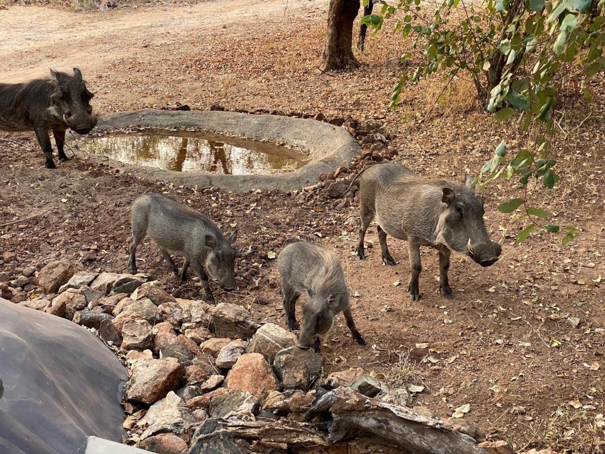Jackals Dream - Self Catering Villa Bordering Kruger National Park Marloth Park Bagian luar foto